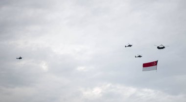 Singapur Ulusal Günü Kutlaması, Singapur, 7 Temmuz 2019