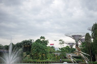 Körfez ve Yusufçuk Gölü'nün bahçeleri, Singapur, 7 Temmuz 2019