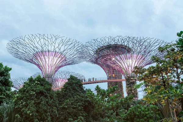 Jardines Bahía Por Noche Singapur Julio 2019 — Foto de Stock