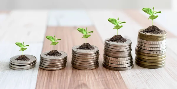 Para büyüyen-madeni paralar-finans ve yatırım kavramı. Sikke para satırında büyüyen bitki, iş CSR