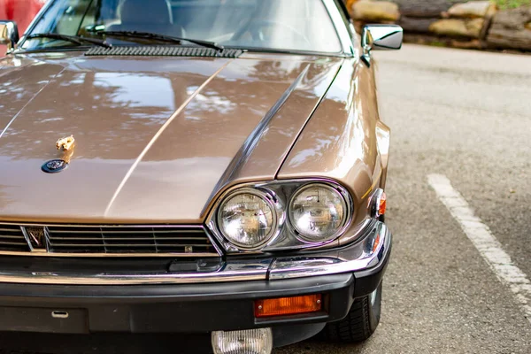 Klasik Jaguar XJ araba rengi altın rengi kahverengi güzelce restore edilmiş.