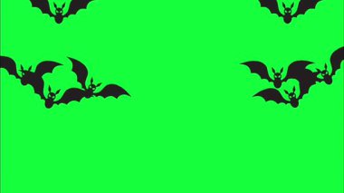 Black bat animation flying with blank area for text or title on horizontal green screen