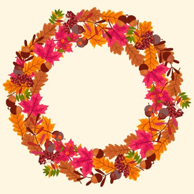 Renkli yapraklardan, meşe palamudlarından, hafif arka planda böğürtlenlerden ve dallardan oluşan sonbahar çelenkleri. Şükran Günü için sezonluk dekoratif tasarım mükemmel, sonbahar tebrik kartları, posterler, davetiyeler, ambalaj ve dijital projeler.
