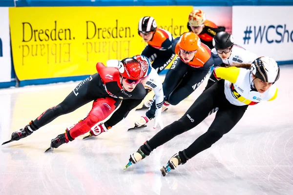 Dresda Germania Febbraio 2019 Pattinatori Velocità Gareggiano Durante Campionato Del — Foto Stock