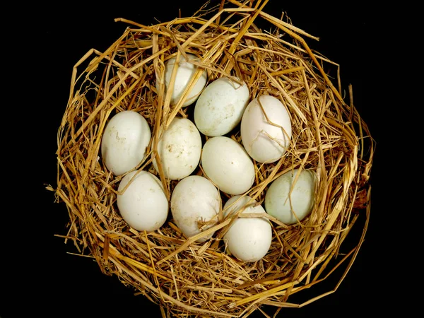 Duck Eggs Straw — Stock Photo, Image