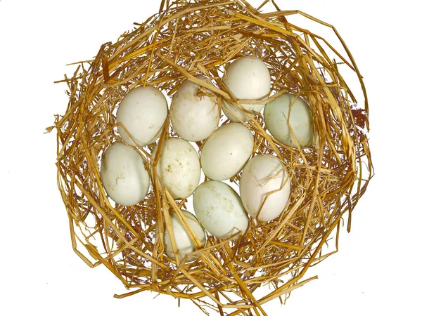 Duck Eggs Straw — Stock Photo, Image