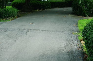 yaprak yeşil doğa manzarası. Doğa arka plan.