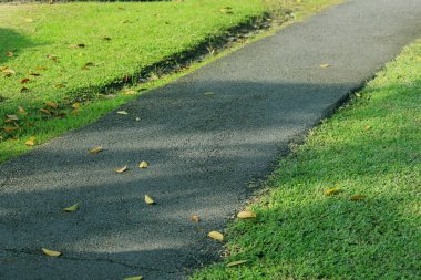 yaprak yeşil bahçe ve doğa manzarası. Doğa arka plan.
