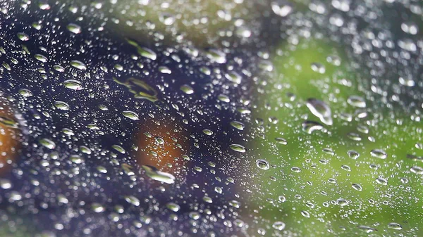 雨がガラスに降り — ストック写真