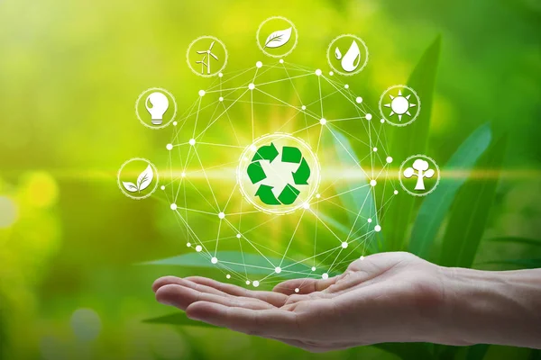 Hand Holding Environment Icons Network Connection Nature Background Technology Ecology — Stock Photo, Image