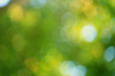 Arka plan için soyut bulanık açık Bahçe.