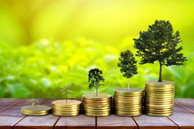 Altın sikke yığını yığını ve büyüyen para ve büyümek ağaçları büyümek