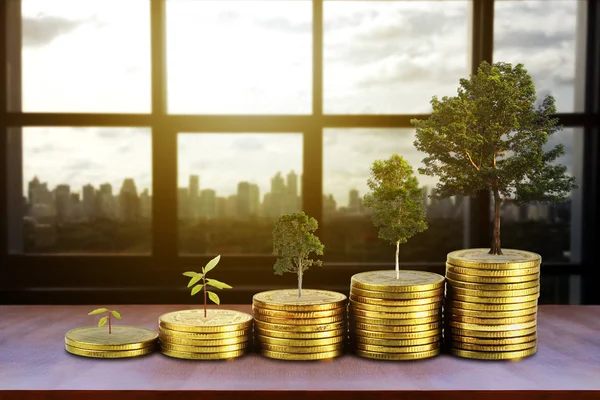 Gold coins pile stack and growing money and grow trees that grow