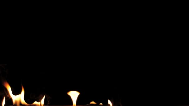 Fuego Llamas Encendiendo Quemando Cámara Lenta Una Línea Llamas Reales — Vídeos de Stock