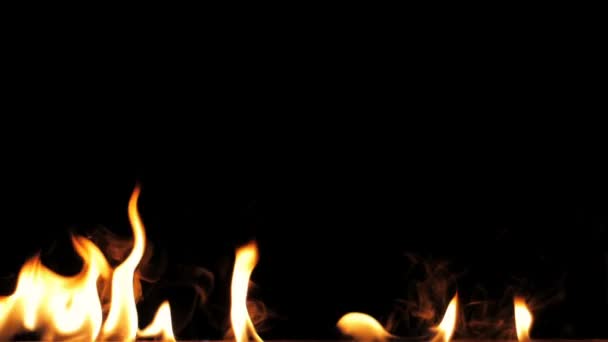 Flammen Entzünden Und Brennen Zeitlupe Eine Reihe Echter Flammen Entzündet — Stockvideo