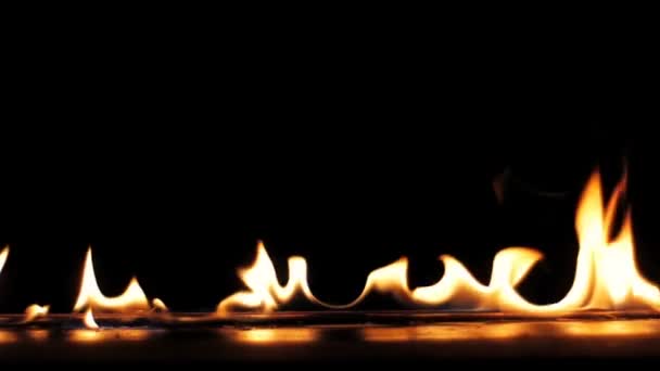 Fire Flames Igniting Burning Slow Motion Line Real Flames Ignite — Stock Video