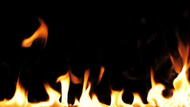 Огонь Зажигает Горит Медленное Движение Линия Настоящего Пламени Воспламеняется Черном — стоковое видео