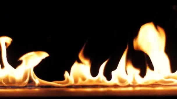 火焰点燃和燃烧 慢动作 一排真正的火焰在黑色的背景上点燃 将在任何火灾或烧烤项目看起来很棒 真正的火 — 图库视频影像