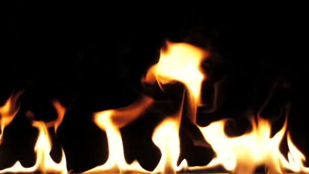 火焰点燃和燃烧 慢动作 一排真正的火焰在黑色的背景上点燃 将在任何火灾或烧烤项目看起来很棒 真正的火 — 图库视频影像