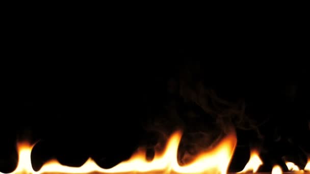 Φωτιά Φλόγες Ανάφλεξη Και Κάψιμο Αργή Κίνηση Μια Γραμμή Των — Αρχείο Βίντεο