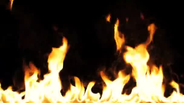 Fire Flames Igniting Burning Slow Motion Line Real Flames Ignite — Stock Video