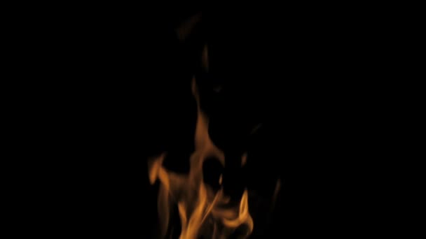 Вогняне Полум Закрити Повільний Рух — стокове відео