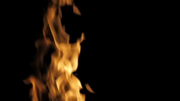 Вогняне Полум Закрити Повільний Рух — стокове відео
