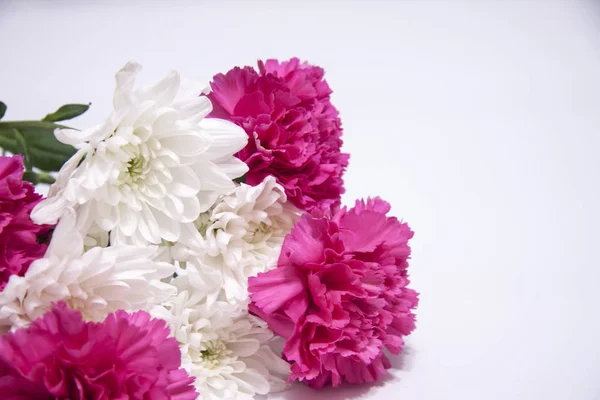 Romantic horizontal floral banner. White beautiful chrysanthemums and pink carnation