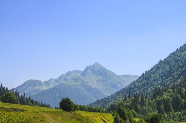 Alpin çayırlar pitoresk doğal güneşli manzara