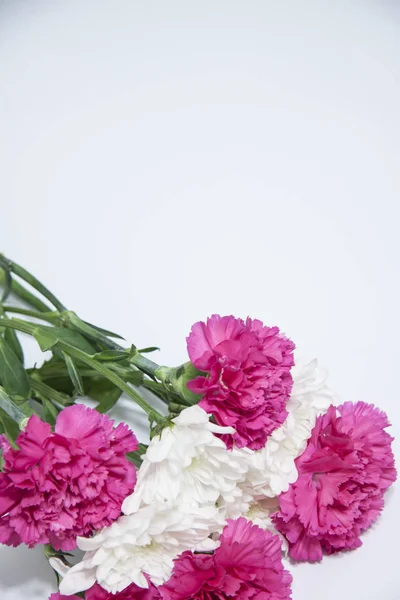 Bandera floral vertical romántica. Crisantemos blancos hermosos y clavel rosa — Foto de Stock