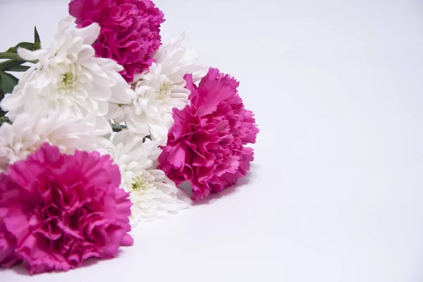 Bandera floral romántica horizontal. Crisantemos blancos hermosos y clavel rosa — Foto de Stock
