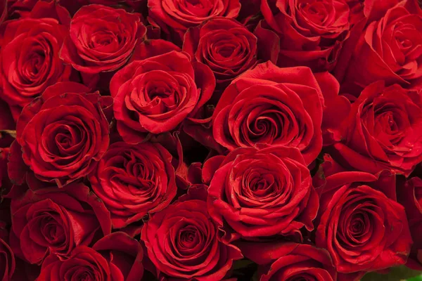 Romantik arka planını bir buket kırmızı