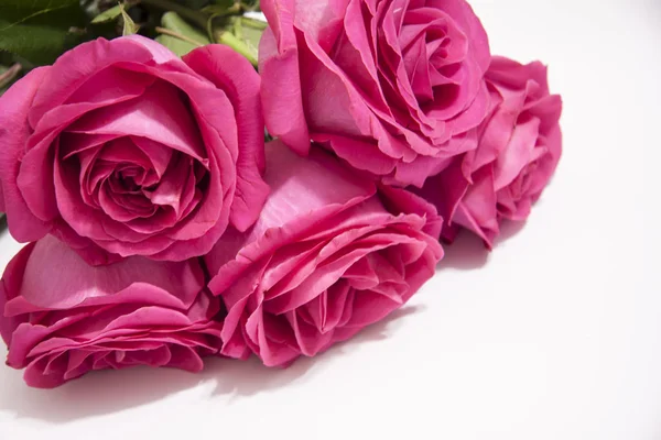 Fondo romántico de un ramo de rosa — Foto de Stock