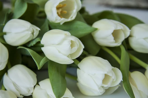 Romántico hermoso fondo festivo ramo de flores . — Foto de Stock