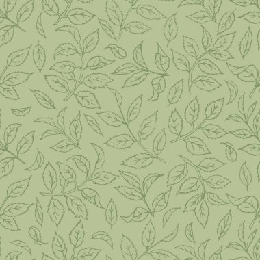 Dikişsiz soyut doğal desen el izole çizilmiş.