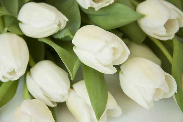 Romántico hermoso fondo festivo ramo de flores . — Foto de Stock