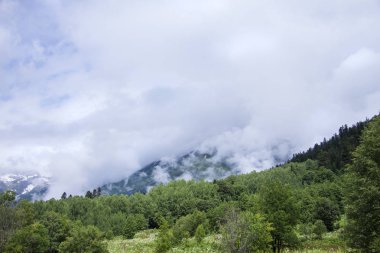 Kafkas dağlarının güzel panoraması. Sıradağların zirvesi sisle kaplı.
