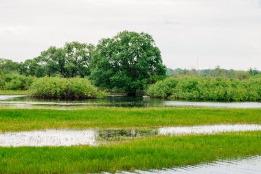 Sular altında alan, ood sezon kavramı, Beyaz Rusya'nın doğa güzel manzara