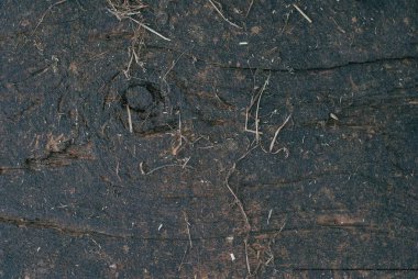 rustik ahşap arka plan, koyu ahşap doku arka plan tasarımı, eski ahşap arka plan çatlaklar