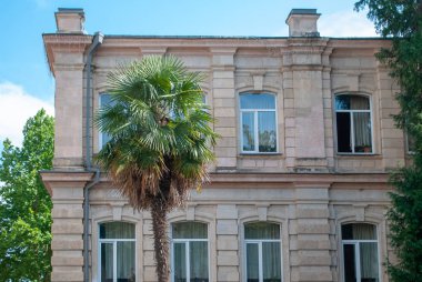 Kutaisi Eski otel , Gürcistan, palmiye ve mavi gökyüzü, sıcak Güneşli gün egzotik seyahat yerler topper