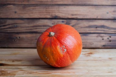 Ahşap arka planda parlak bir balkabağı, kırsal tarzda. Cadılar Bayramı Konsepti