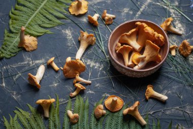 Sarı mantarlar, masanın üstünde Chantereller.,