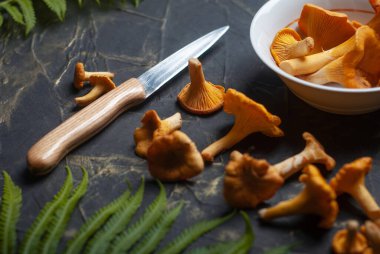 Chanterelles ve masada bir bıçak, beton masada bir kasede sarı mantarlar.,