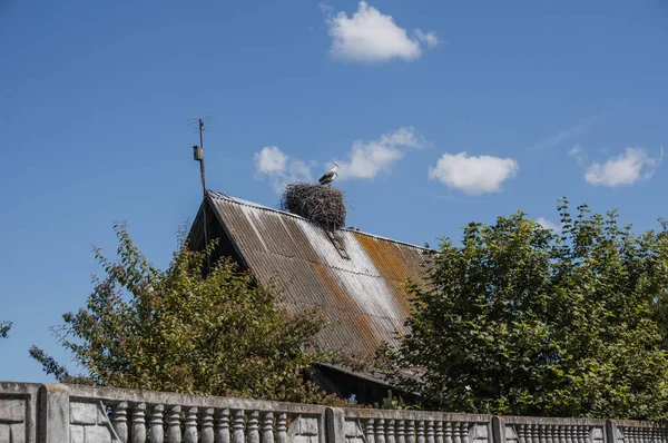 Nido de cigüeñas en el techo de una antigua casa, — Foto de Stock