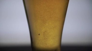 Yükselen kabarcıklar ile bira cam yakın çekim, alt-yukarı atış