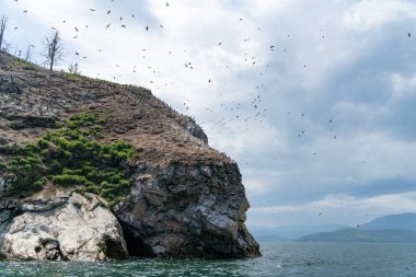 Rusya, Irkutsk bölgesi, Temmuz 2020: Baykal Gölü üzerinde uçan dev kuş sürüsü