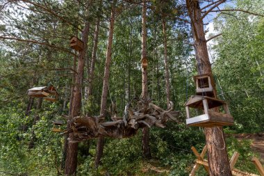 Büyük bir ağacın kökünden yapılmış vahşi bir hamak, derin bir ormanda asılı ahşap hamak.