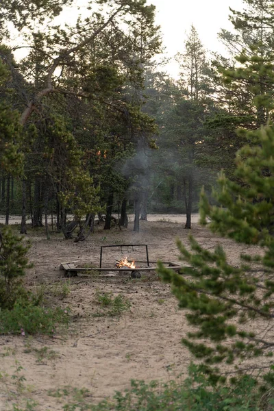Φωτιά Στο Δάσος Μια Καλοκαιρινή Μέρα Στα Ρώσικα Βόρεια — Φωτογραφία Αρχείου