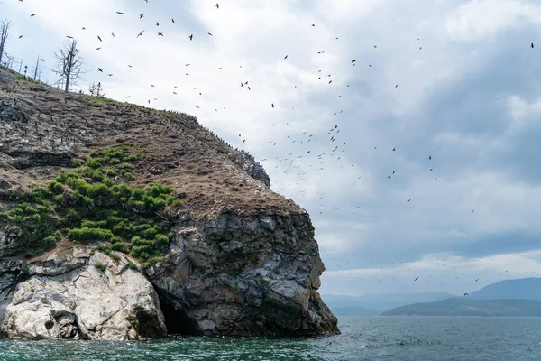 Rusya, Irkutsk bölgesi, Temmuz 2020: Baykal Gölü üzerinde uçan dev kuş sürüsü