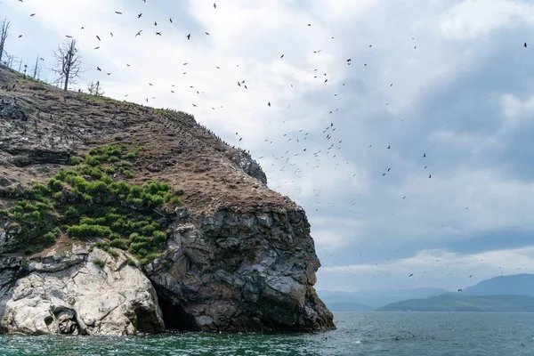 Rusia Región Irkutsk Julio 2020 Enorme Bandada Aves Sobrevolando Lago Fotos De Stock Sin Royalties Gratis